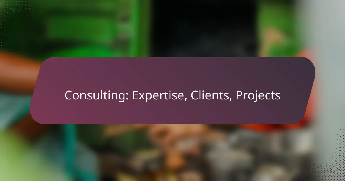 Consulting: Expertise, Clients, Projects