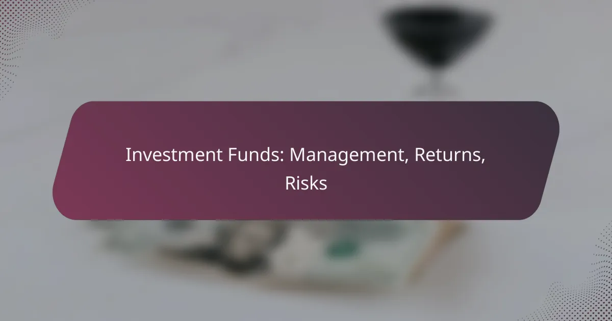 Investment Funds: Management, Returns, Risks