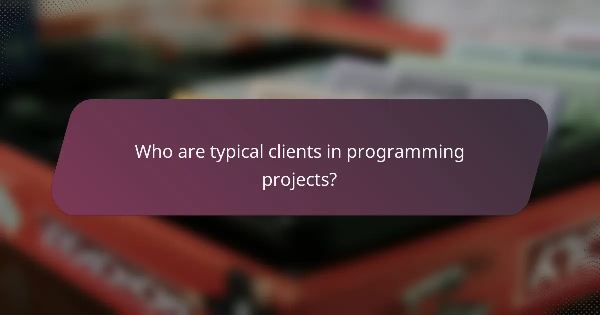 Who are typical clients in programming projects?
